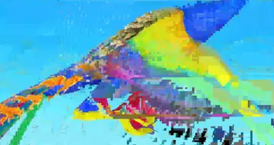 unknown.png