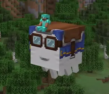 image-245.png