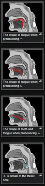 unknown.png