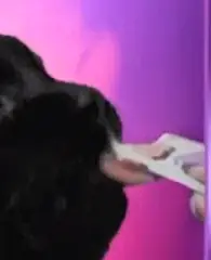 unknown.png