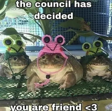 cc1.jpg