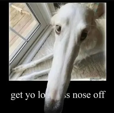 image0.jpg