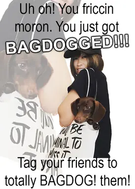bagdogged.png