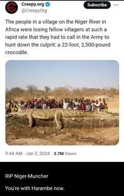 Screenshot_20240102_221349_Telegram.png