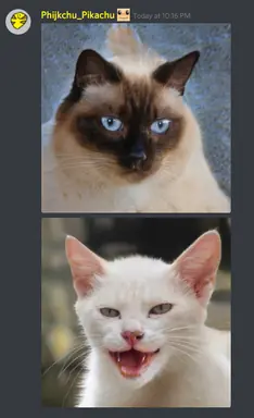 unknown.png