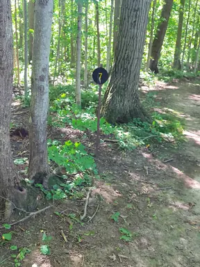 20210814_154752.jpg