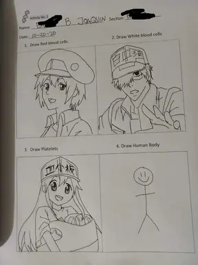 cells.jpg