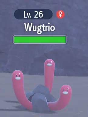 unknown.png
