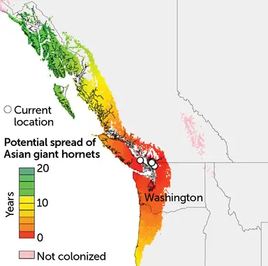 100120_cs_hornet_map_B.webp