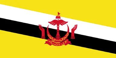 Flag_of_Brunei.png