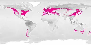 map-tdforest-madrid.png