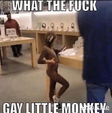 wmsmk2t7rsab1.png
