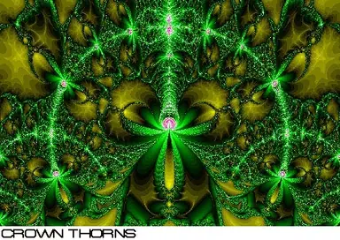 crown_thorns.jpg