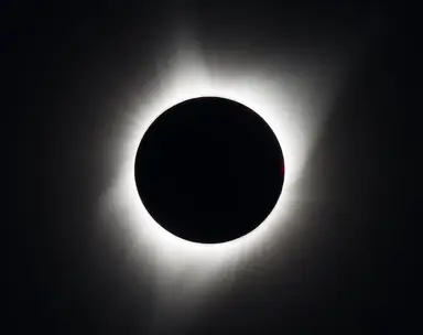 corona1.png