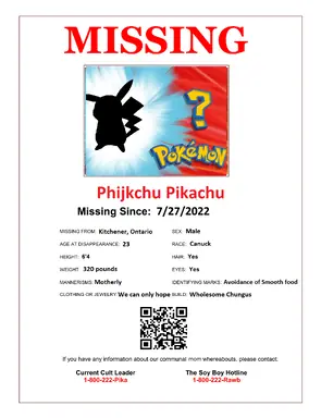 Missing_poster.png