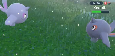 unknown.png