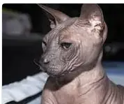 unknown.png