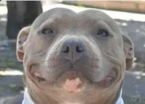 unknown.png