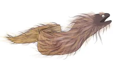 unknown.png