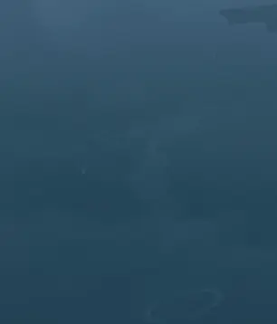 2021-02-23_-_224319.png