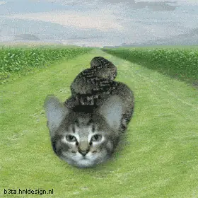 beta211_1.gif