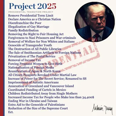 Project25leak.jpg
