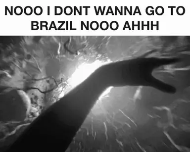 brazil.gif
