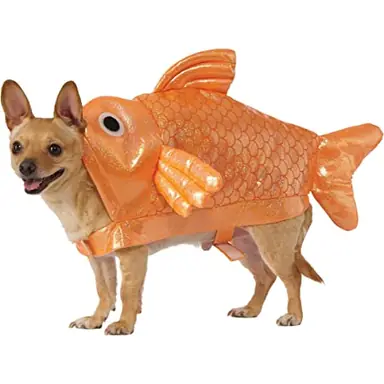 unknown.png