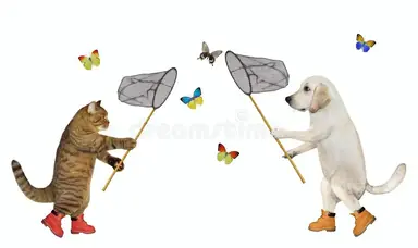 HFYJqhyW4AAds9n.png