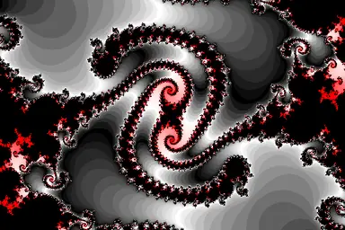 black_rose.gif