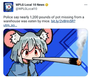 1768302869252119.png