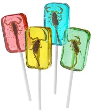 scorpion-suckers.jpg