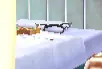 unknown.png