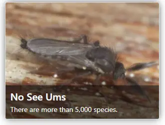 unknown.png