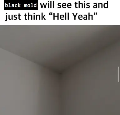 GIOkgROWYAA8R-k.png