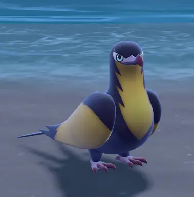 unknown.png