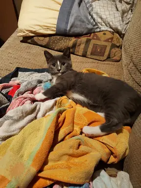20220523_112434.jpg