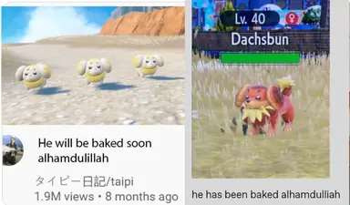 unknown.png
