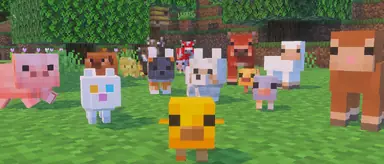 MCV_SP26_Testing_1_BPS_Header_Image_1170x500.png