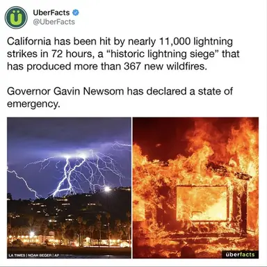 image1.png