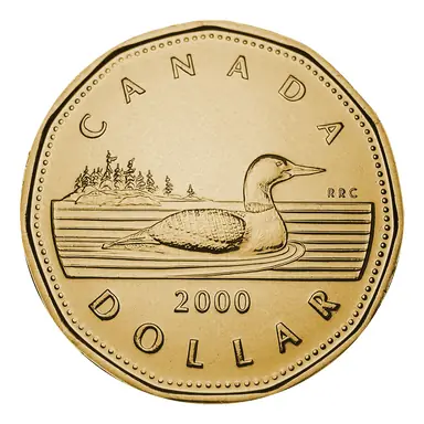2000-w-canadian-1-dollar-common-loonie-1-800x800.png