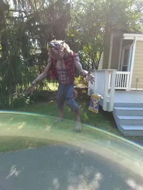 20241012_132903.jpg