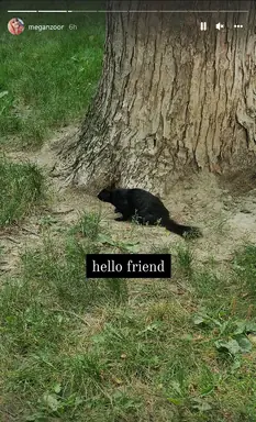 unknown.png
