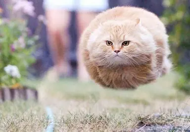 9979cdc90b06c806e64b2fc517de7670--timing-is-everything-perfect-timing.jpg