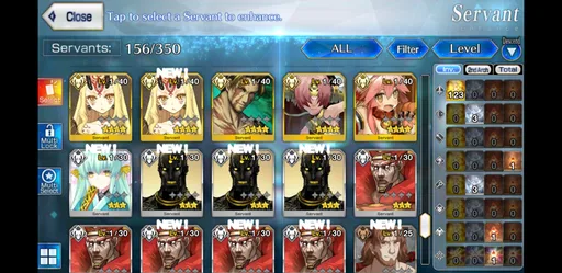 Screenshot_20200401-223019_Fate_GO.jpg
