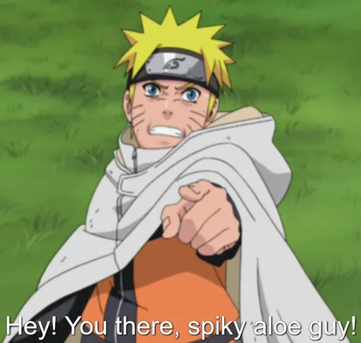 aloe.PNG