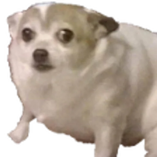 504785923486253065(1).png