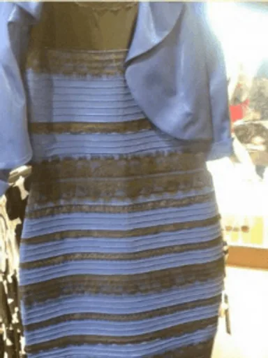 The_Dress_viral_phenomenon.png