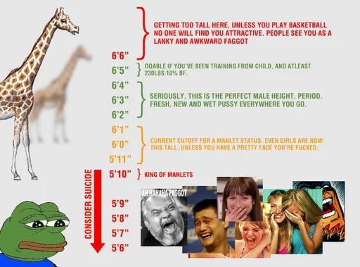 cd8.png