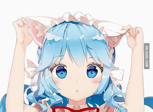 Curious-neko.jpg
